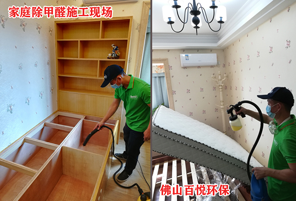 佛山廚房除甲醛適合放的植物-新房裝修除甲醛方法和注意地方