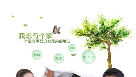 效果好、專業(yè)的光觸媒除甲醛產(chǎn)品有那些？